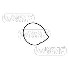 Pompa Acqua Graf Pa674 Audi, Seat, Skoda, Vw