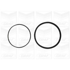 Graf Daewoo: Espero 1.5 16V (91-99) - Lanos 1.6 16V (97 Pa695