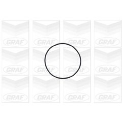 Graf Chevrolet: Aveo 1.4 16V (05-08) - Kalos 1.4 16V (0 Pa696