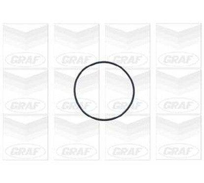 Graf Chevrolet: Aveo 1.4 16V (05-08) - Kalos 1.4 16V (0 Pa696
