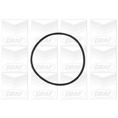 Graf 'Opel / Vauxhall: Astra 2.0 Di 16V Pa730