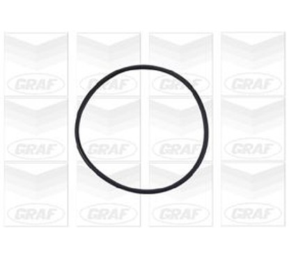 Graf 'Opel / Vauxhall: Astra 2.0 Di 16V Pa730