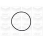 Graf 'Opel / Vauxhall: Astra 2.0 Di 16V Pa730