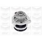 Graf 'Opel / Vauxhall: Astra 2.0 Di 16V Pa730