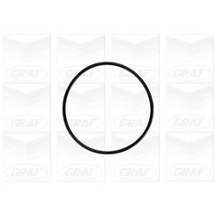 Graf 'Audi: 100 2.4 D (90-94) - A6 2.5 Tdi Pa758