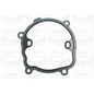 Graf 'Nissan Lcv: Interstar 2.2 Dci Pa803