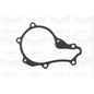 Pompa Acqua Graf Pa859 Citroen, Peugeot, Ford