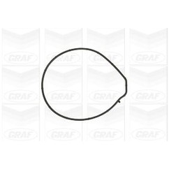 Graf Land Rover: Freelander 2.5 V6 (98-06)Rover: 45 2.0 Pa884