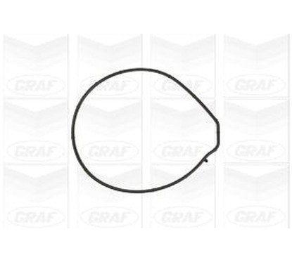Graf Land Rover: Freelander 2.5 V6 (98-06)Rover: 45 2.0 Pa884
