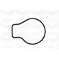 Graf Honda: Cr-V 2.0 16V (95-) Pa897
