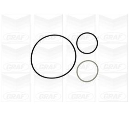 Pompa Acqua Graf Fiiat Ducato 120 Mjt Pa900