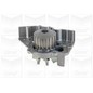 Graf CitroeN: Evasion 1.9 Td (94-02) - Xantia 1.9 Td (9 Pa911