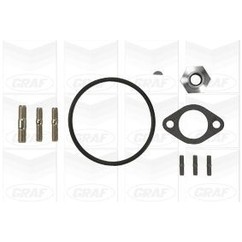 Graf 'Iveco: Daily 29L11 2.8 D Pa915