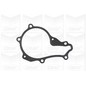 Pompa Acqua Citroen Berlingo 1.6 Hdi (96-) - C3 1.6 16V Hdi
