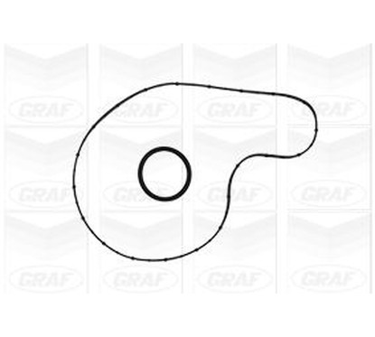 Graf Pompa Acqua Citroen Jumper Iii 2.2 Hdi Pa996