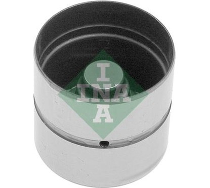 Ina Punteria 420010610