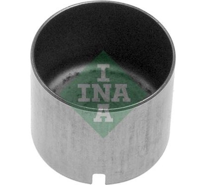 Ina Punteria 421001210