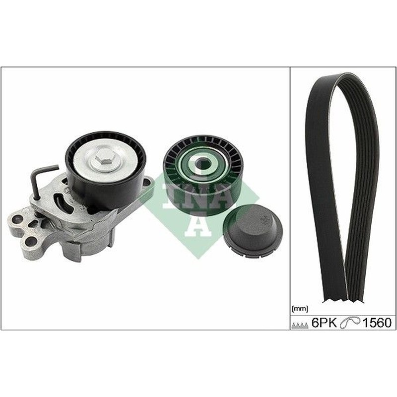Ina Kit Cinghie Poly-V Peugeot 206 Schrägheck (2A/C) 1 529010910
