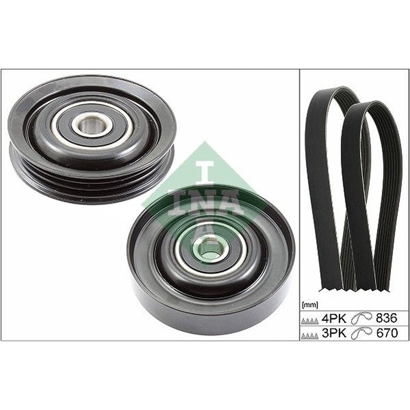 Ina Kit Cinghie Poly-V Nissan Micra Iii (K12) 1.2 16V 529023010