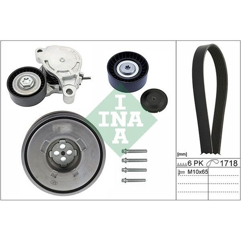 Ina Kit Cinghie Poly-V Mini Mini Clubman (F54) One (02 529024310