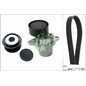 Ina Kit Cinghie Poly-V Audi Q5 (8Rb) 2.0 Tfsi Quattro 529026910