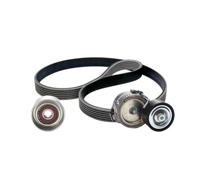 Ina Kit Cinghie Poly-V Audi Q5 (8Rb) 2.0 Tfsi Quattro 529026910