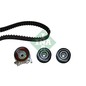 Ina Kit Tendicinghia 530004910