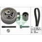 Kit Cinghie Dentate Ina 530009110 Audi, Vw