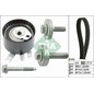 Kit Cinghie Dentate Ina 530019710 Per Renault