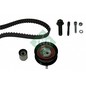 Ina Kit Tendicinghia 530037710