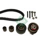 Ina Kit Tendicinghia 530050310