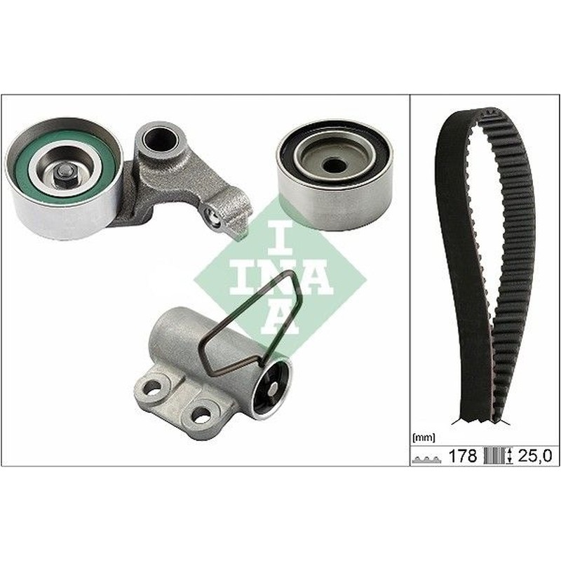 Ina Kit Tendicinghia 530054310
