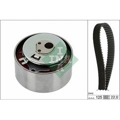 Ina Kit Tendicinghia 530056410 per ripristinare il corretto funzionamento del componente