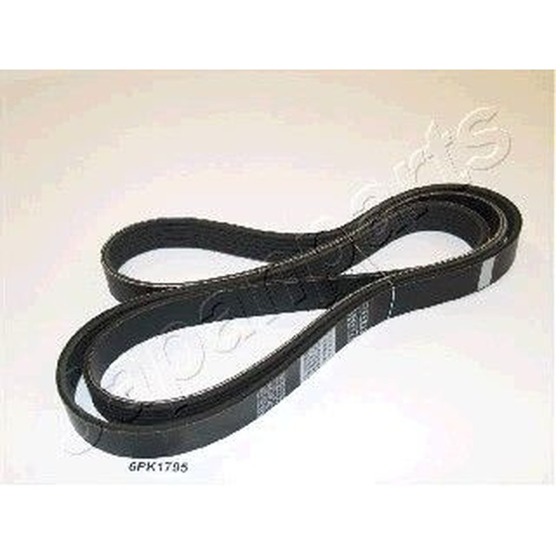 Japanparts Cinghia Poly-V Dv-6Pk1795