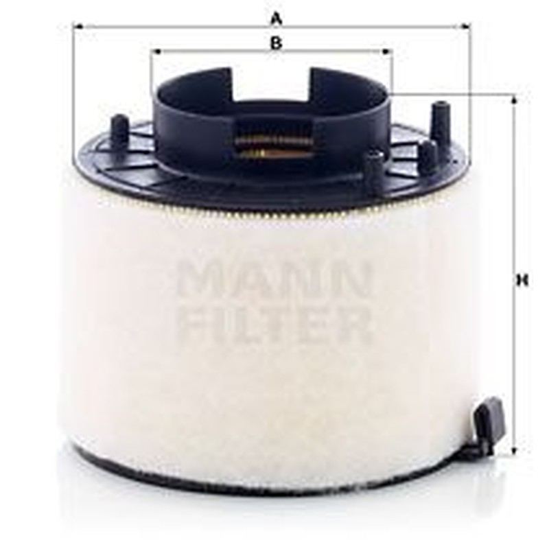 MANN-FILTER Filtro aria C 17 009