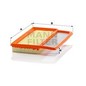 Mann Aria Fiat C24006