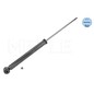 Meyle Ammort Post Smart Forfour 267250022