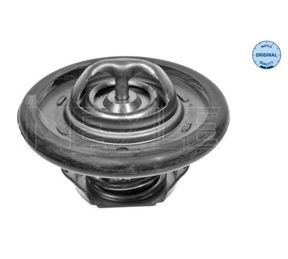 Meyle Thermostat 282890000 per ripristinare il corretto funzionamento del componente