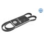 Meyle V-Ribbed Belt 500051385