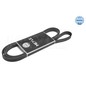 Meyle V-Ribbed Belt 500051765