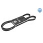 Meyle V-Ribbed Belt 500061540
