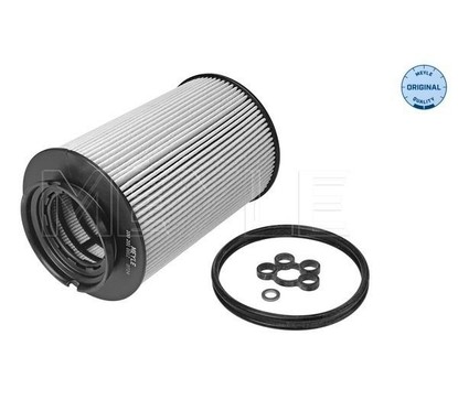 Meyle Fuel Filter 1002010012 per ripristinare il corretto funzionamento del componente