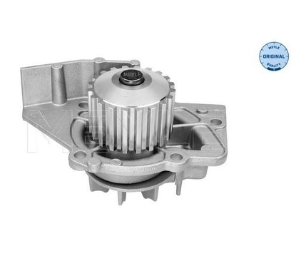 Meyle Pompa Acqua Fiat-Psa 2,0 Hdi 11-132200001