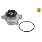Meyle Pompa Acqua Audi A6 2,5 Tdi (20 Denti ) 1130120042/Hd