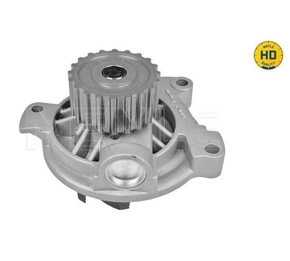 Meyle Pompa Acqua Audi A6 2,5 Tdi (20 Denti ) 1130120042/Hd