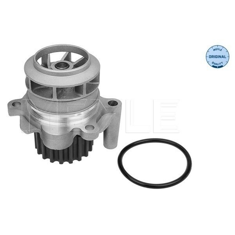 Meyle Pompa Acqua Vw Golf Vi 1,6-2,0 Tdi 1132200021