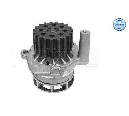 Meyle Pompa Acqua Vw Golf Vi 1,6-2,0 Tdi 1132200021