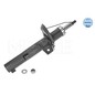 Ammortizzatore Meyle 1266230050 Per Audi, Vw