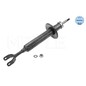Meyle Ammortiz Ant Audi A4 2000 1266250003