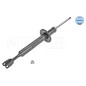 Meyle Ammort Ant Audi A6 1266250005